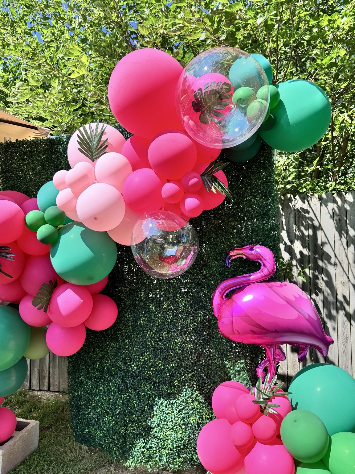 Pink flamingo balloon and colorful balloon flowers against a green hedge wall